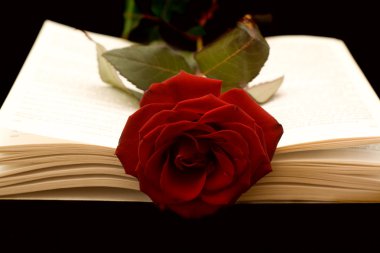 The Book and the Rose clipart