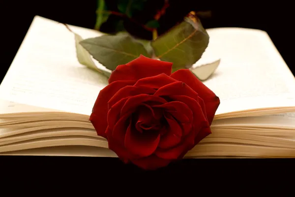 The Book and the Rose — Stock Photo, Image