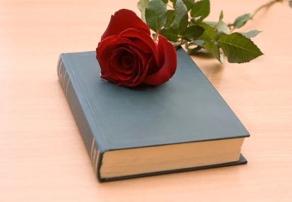 Κόκκινο τριαντάφυλλο σε ένα βιβλίο — Φωτογραφία Αρχείου