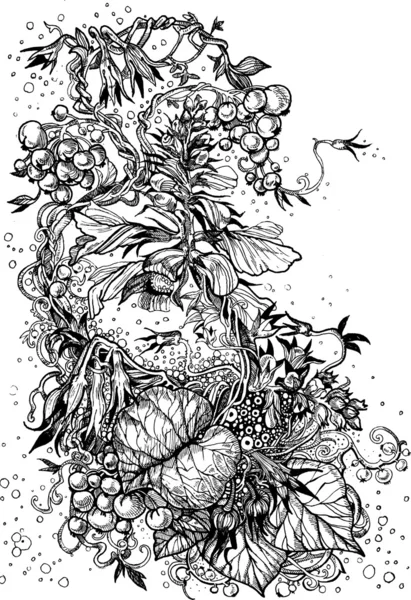Dekorative Zierde der Bindekraut, Blumen und Beeren — Stockvektor