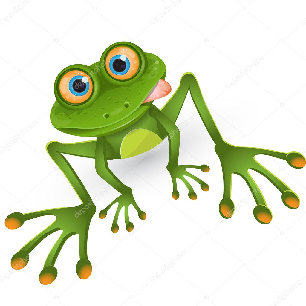 Green frog — Stock Vector © brux17 #6002643