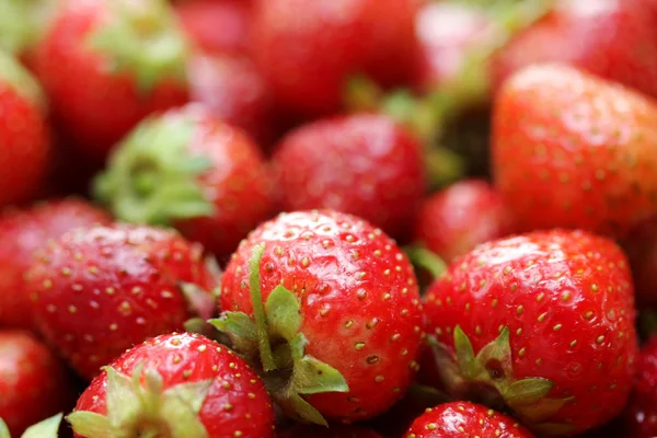 Fresh strawberry Stock Photo