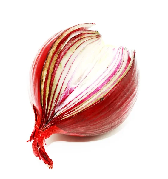 Cortar cebolla roja —  Fotos de Stock
