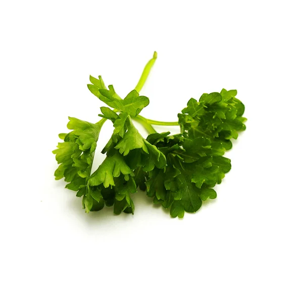 stock image Fresh parsley