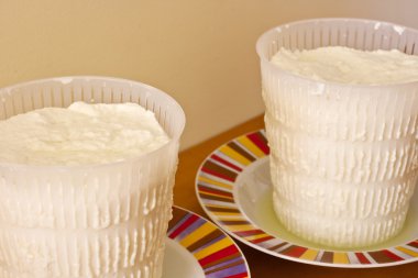 ricotta peyniri