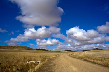 Rural scene in the countryside clipart