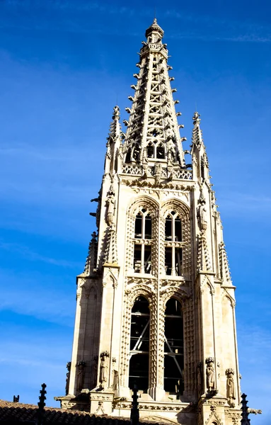 Klocktornet av domkyrkan — Stockfoto