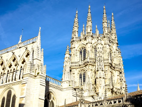 Burgos cathedral — Stock Photo, Image