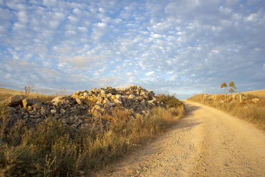 Road in the countryside clipart