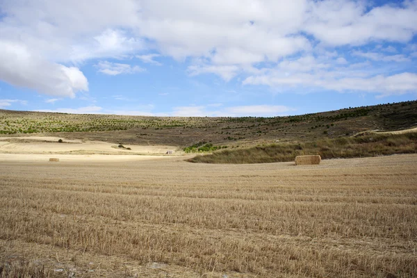 Landschap, Spanje — Stockfoto