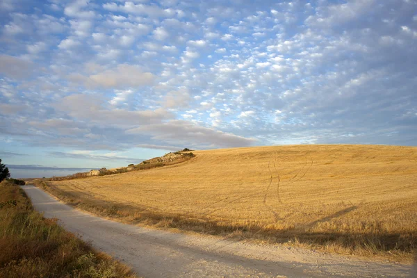 Дорога в сельской местности — стоковое фото