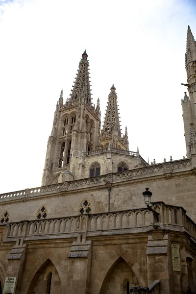Cattedrale di Burgos — Foto Stock