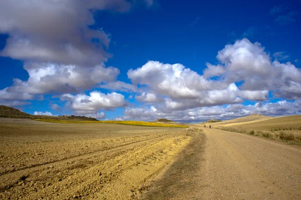 Estrada no campo — Fotografia de Stock