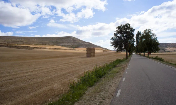 도로 가 있는 시골 — 스톡 사진