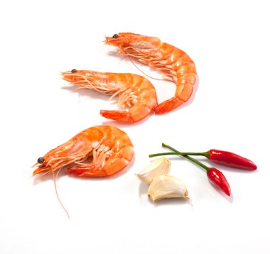 Cooked Prawns clipart