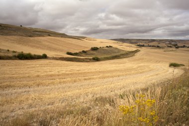 İspanyol kırsal