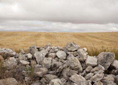 Stonewall in the countryside clipart