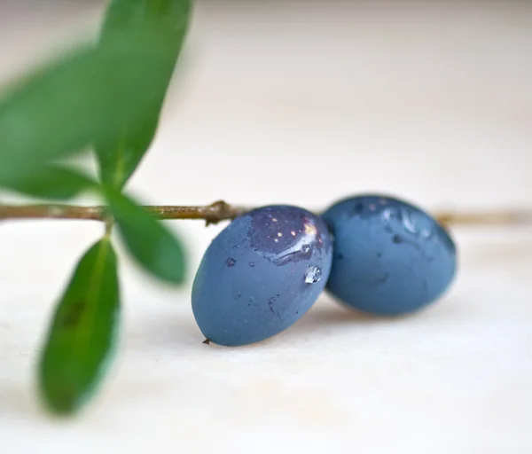 Olives aux feuilles d'olivier — Photo