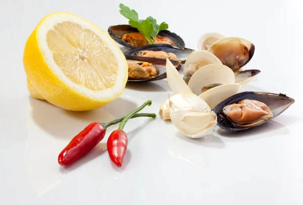 stock image Mussels