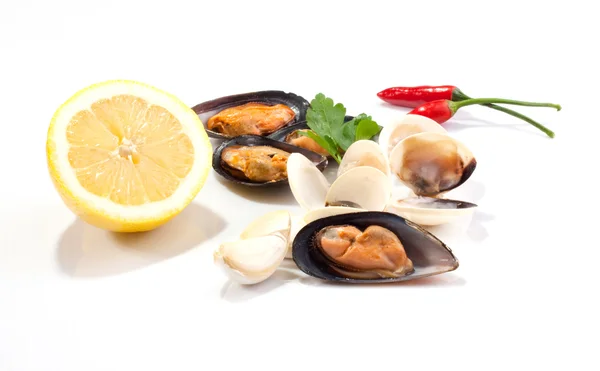 stock image Mussels