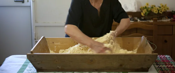 stock image Women's hands kneading dough for baking