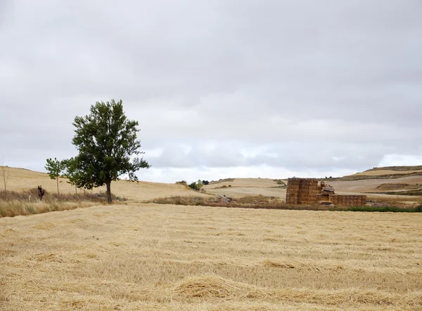 Spanska landsbygden — Stockfoto