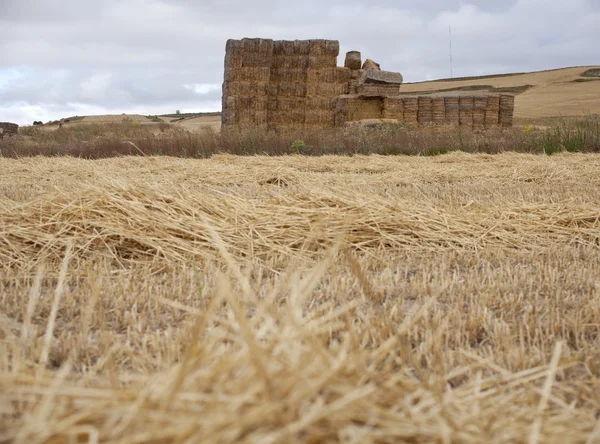 Bales of hay — Stock Photo, Image