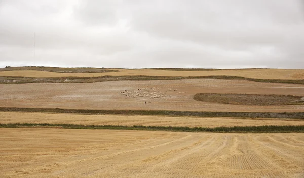 stock image Spanish countryside