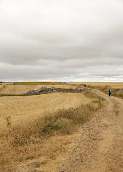 スペインの田舎 — ストック写真