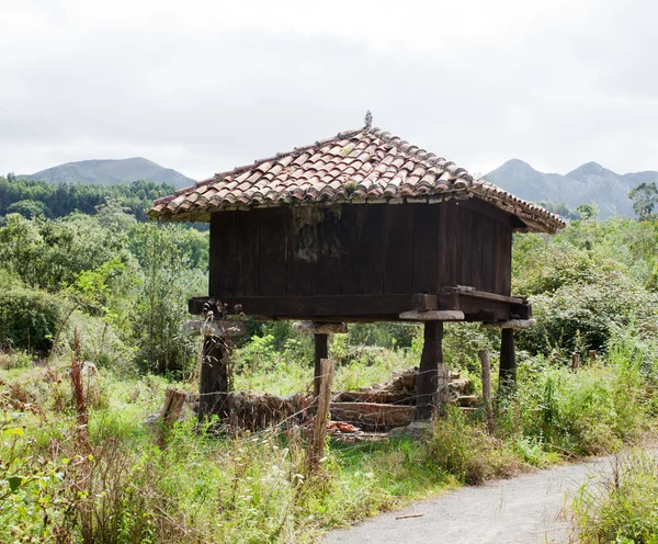 Granaio asturiano — Foto Stock