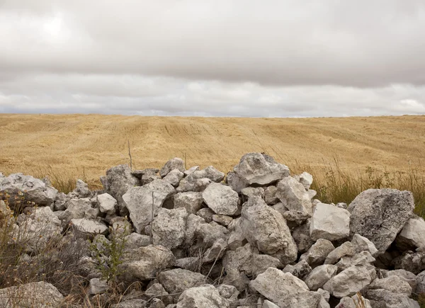 Каменная стена в сельской местности — стоковое фото