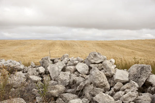 Каменная стена в сельской местности — стоковое фото