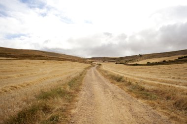 İspanyol kırsal kesimde yol