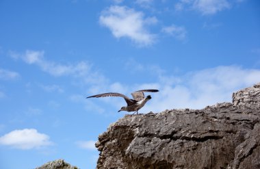 plaj cuevas del Mar, nueva de llanes