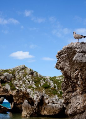 plaj cuevas del Mar, nueva de llanes