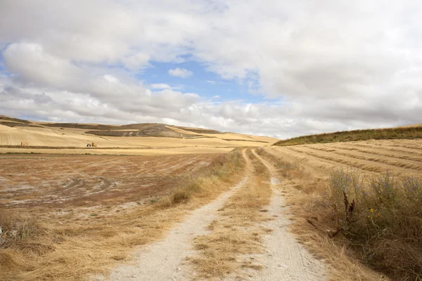 Weg op het Spaanse platteland — Stockfoto