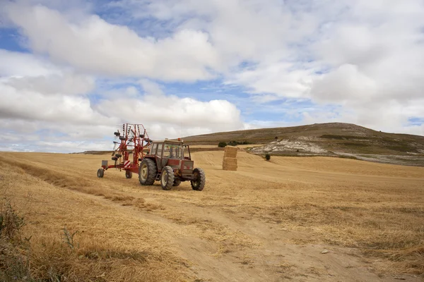 Traktor in einem Maisfeld — Stockfoto