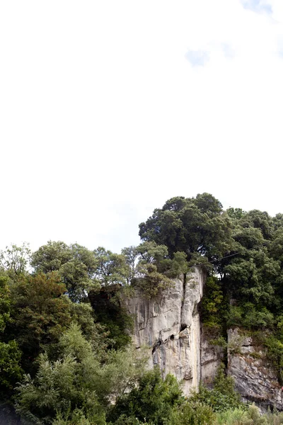 Rocas y árboles — Foto de Stock