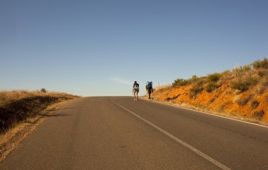 Pilgrims along the Way of St. James clipart