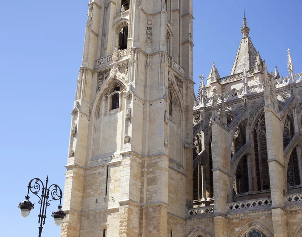 Katedralen, leon — Stockfoto