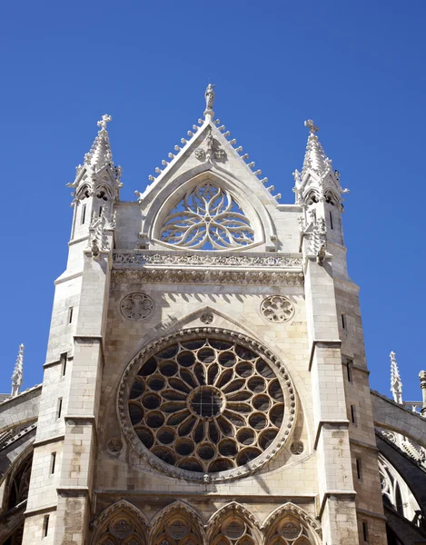 Kathedrale, leon — Stockfoto