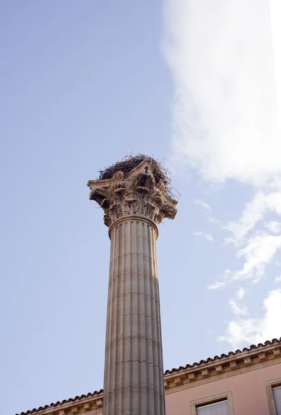 Säule des Denkmals für die Legion vii, leon — Stockfoto