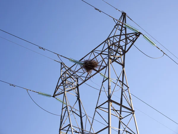 Un nid de cigogne sur un pylône électrique — Photo