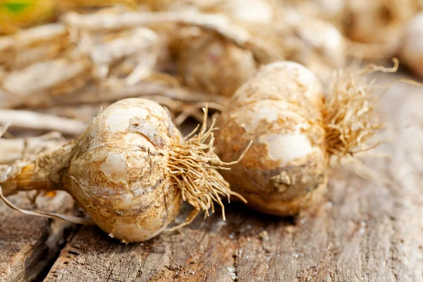 Biologické garlics — Stock fotografie