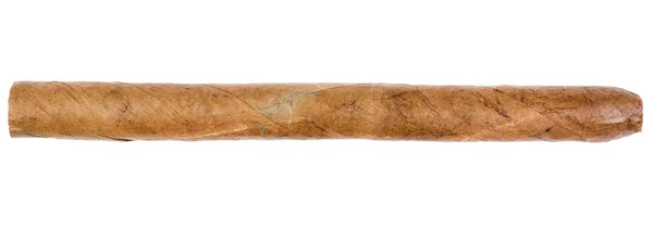Single cigars. — Stock Photo, Image