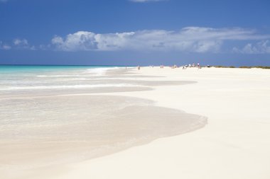 Santa monica beach boa Vista'nın