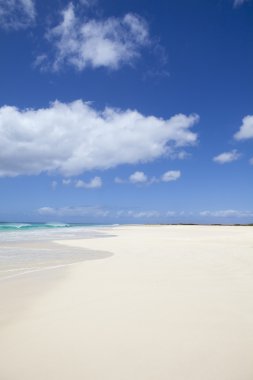 Santa monica beach boa Vista'nın