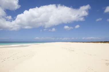 Santa monica beach boa Vista'nın