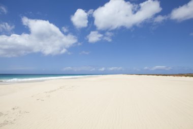 Santa monica beach boa Vista'nın