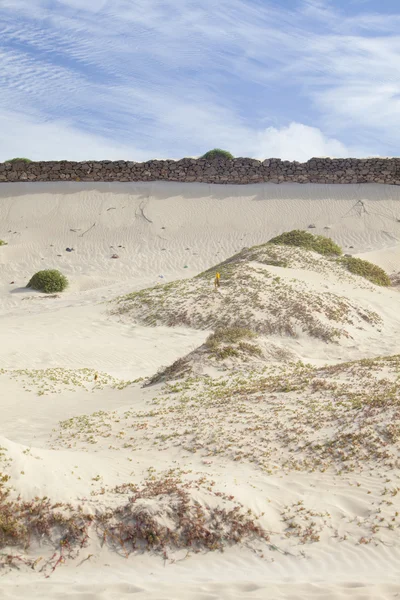 Sand beach dunes — Stock Photo, Image